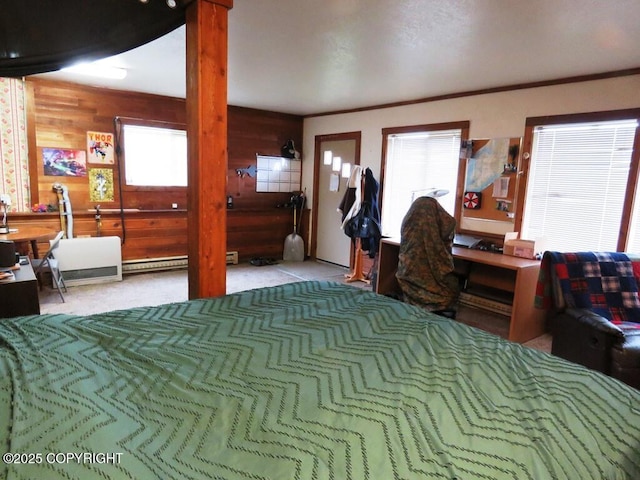 106 E Bayview Ave, Homer, AK 99603 - bedroom with wood walls and carpet floors