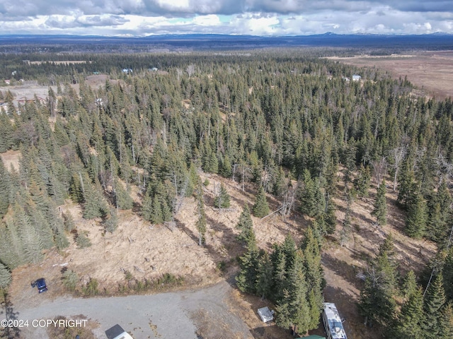 Listing photo 3 for LOT15 Kivalina Cir, Ninilchik AK 99639