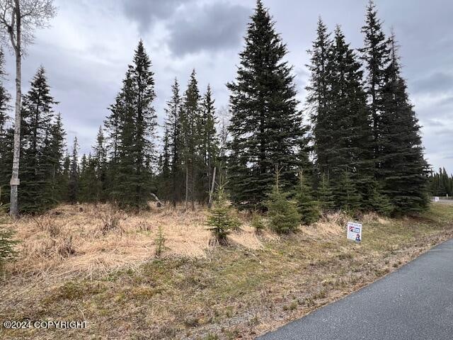 822 River Estates Dr, Soldotna AK, 99669 land for sale