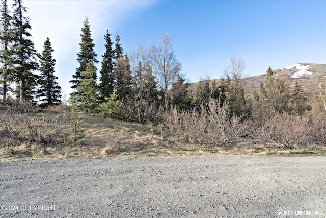 Listing photo 3 for B2L33 Finland St, Anchorage AK 99516