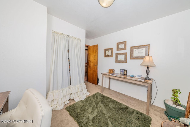 living area featuring carpet floors