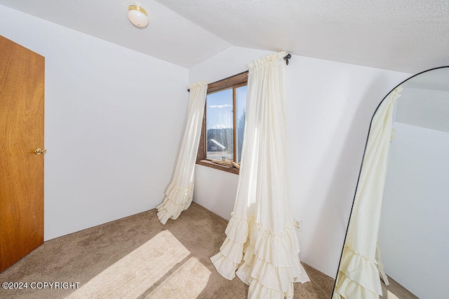 carpeted bedroom with a textured ceiling and lofted ceiling