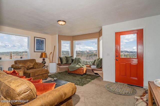 view of carpeted living room