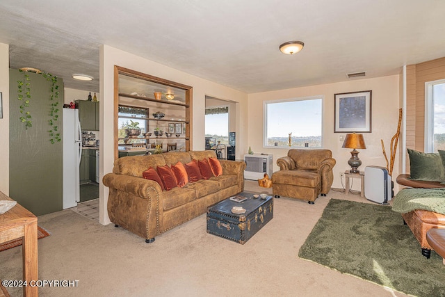 living room with a healthy amount of sunlight and carpet floors