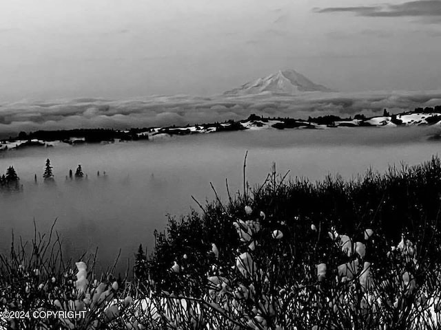 water view with a mountain view