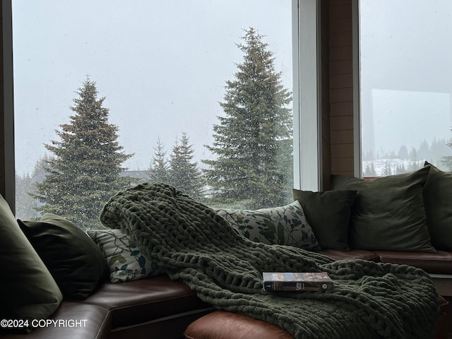 living room with plenty of natural light