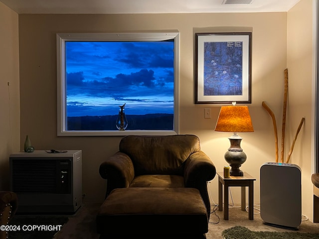 sitting room with carpet