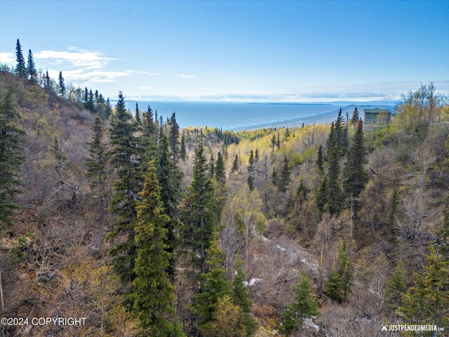 L36B2 Portugal Pl, Anchorage, AK 99516