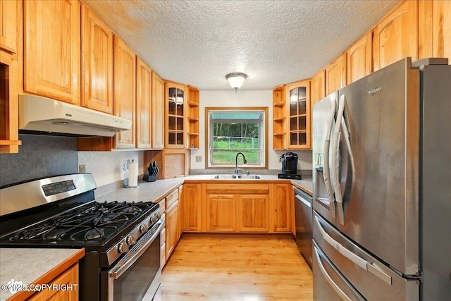 44775 Carver Dr, Kenai, AK 99611 - kitchen with stainless steel appliances, under cabinet range hood, a sink, open shelves, and light wood finished floors