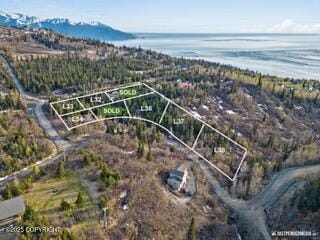 B2L32-36 Portugal Pl, Anchorage AK, 99516 land for sale