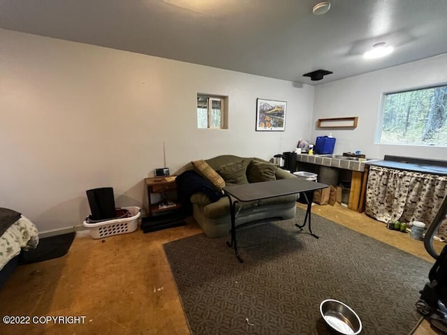 living room featuring carpet flooring