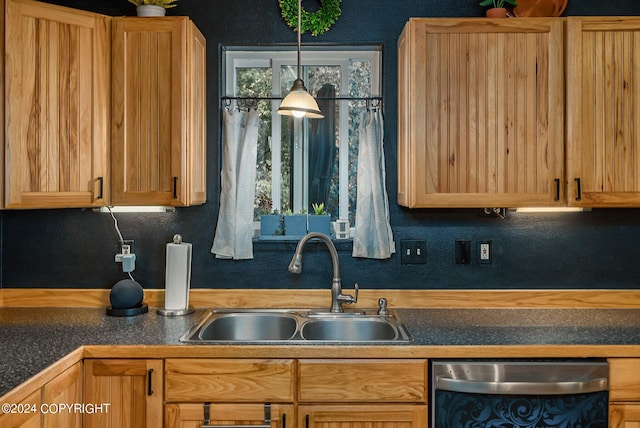 kitchen featuring stainless steel dishwasher and sink