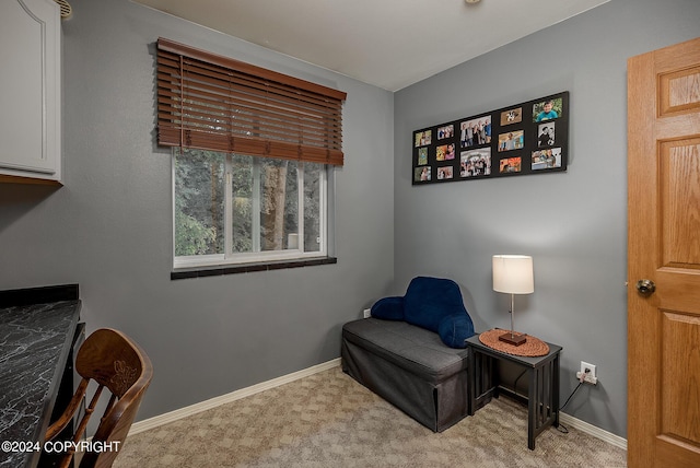 living area featuring light colored carpet