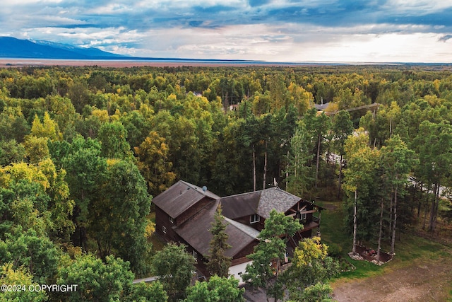 birds eye view of property featuring a mountain view