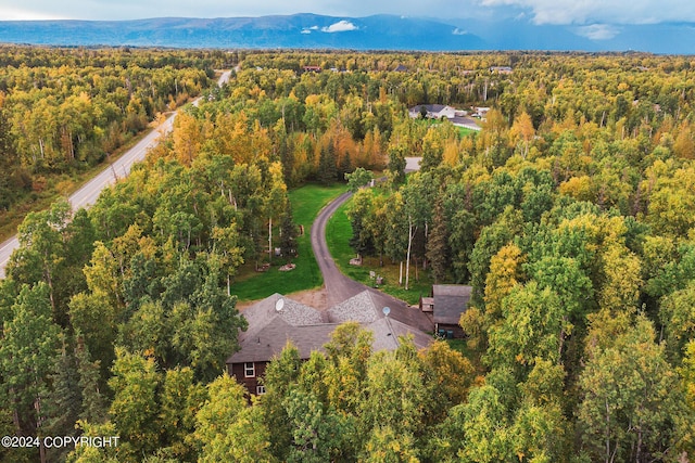 aerial view featuring a mountain view