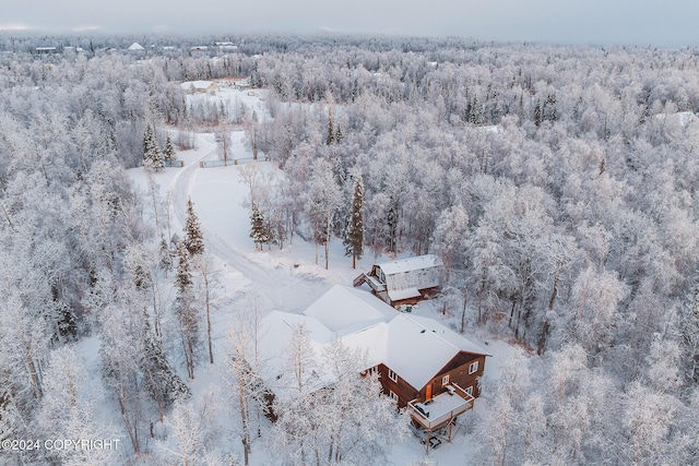 view of snowy aerial view