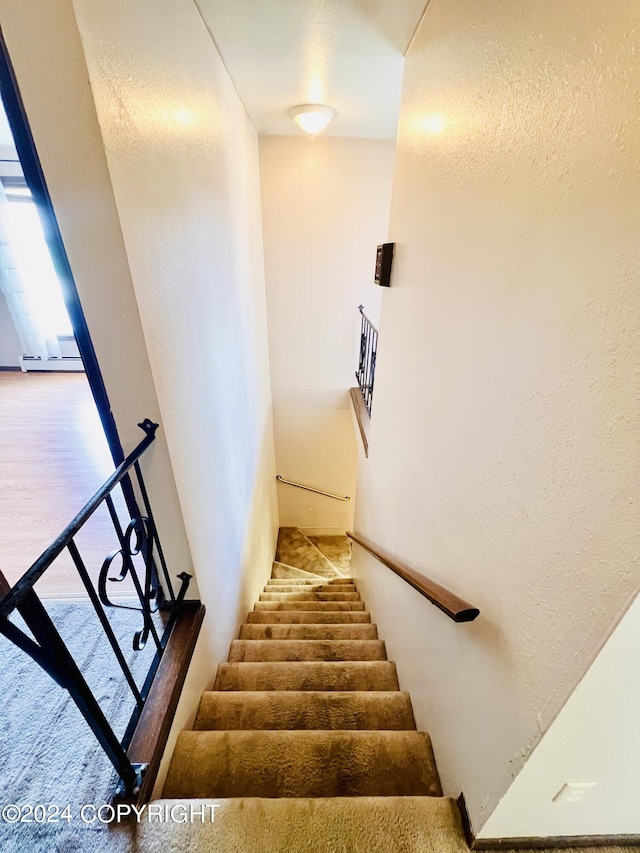 staircase featuring wood-type flooring