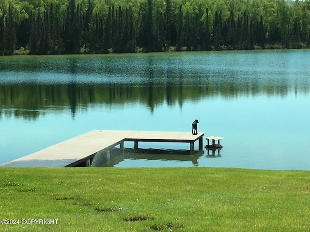 18226 Guernsey Rd, Wasilla, AK 99654 - photo 99