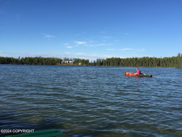 18226 Guernsey Rd, Wasilla, AK 99654 - photo 8