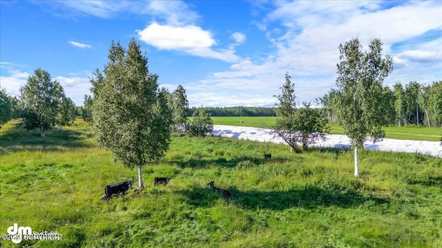 18226 Guernsey Rd, Wasilla, AK 99654 - view of water feature with a rural view