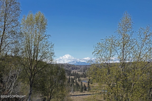 property view of mountains