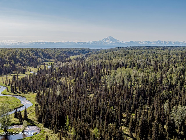mountain view