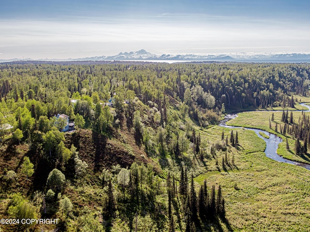 birds eye view of property with a mountain view