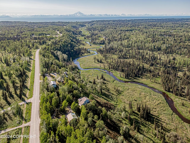 birds eye view of property featuring a mountain view