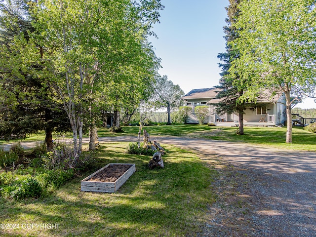 exterior space with a yard