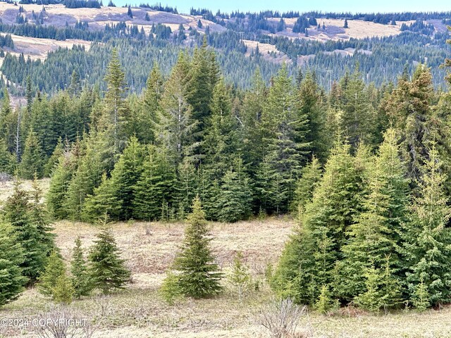 000 Fletcher Rd, Homer, AK 99603 - photo 4