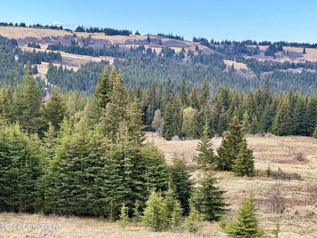 000 Fletcher Rd, Homer, AK 99603 - photo 6