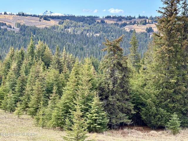 000 Fletcher Rd, Homer, AK 99603 - photo 7