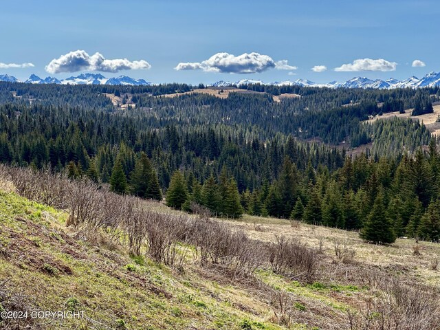 000 Fletcher Rd, Homer, AK 99603 - photo 3