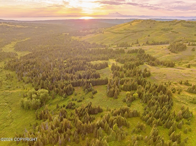 000 Fletcher Rd, Homer, AK 99603 - photo 1
