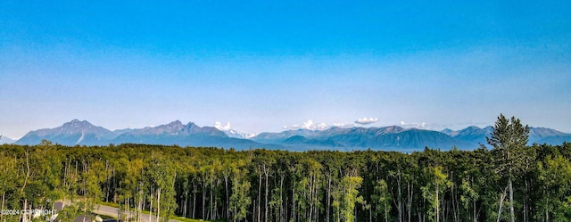 view of mountain view