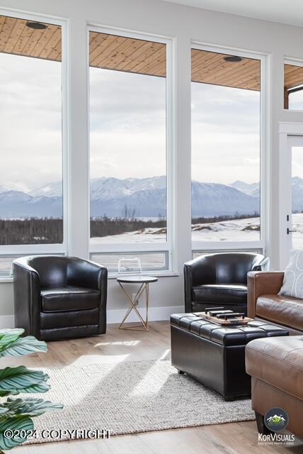 living room featuring wood-type flooring and a mountain view