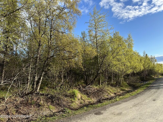 Listing photo 2 for L4B3 Kallander Ave, Anchorage AK 99516