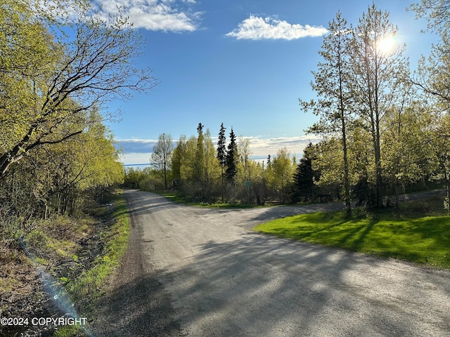 Listing photo 3 for L4B3 Kallander Ave, Anchorage AK 99516