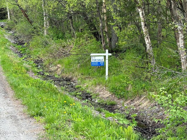 L4B3 Kallander Ave, Anchorage AK, 99516 land for sale