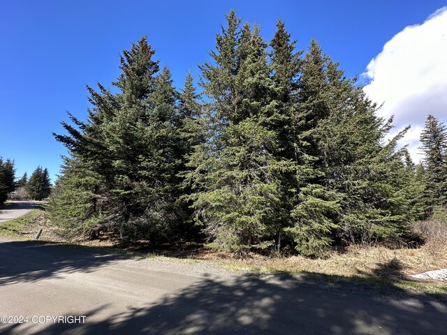 5665 Felix Cir, Homer, AK 99603
