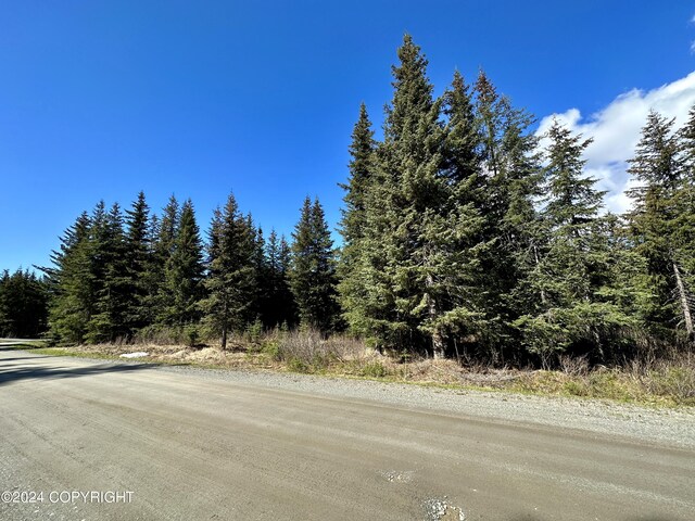 5665 Felix Cir, Homer, AK 99603