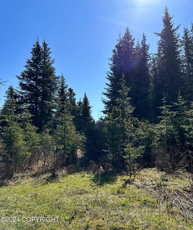 5665 Felix Cir, Homer, AK 99603