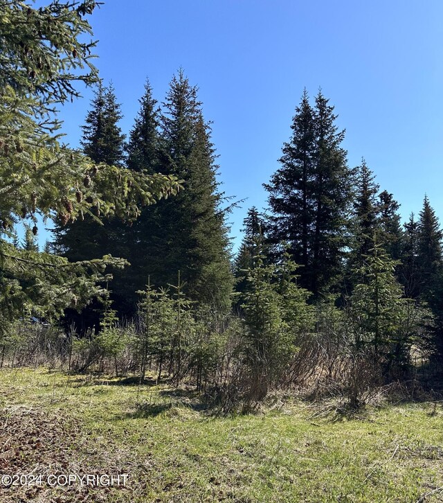 5665 Felix Cir, Homer, AK 99603
