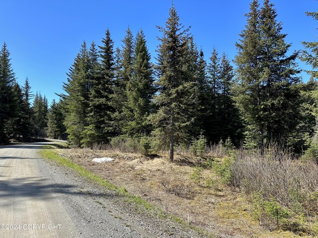 5665 Felix Cir, Homer, AK 99603