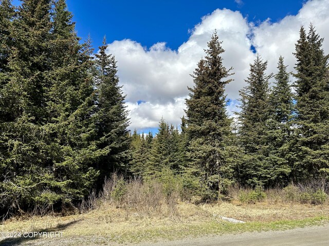 5665 Felix Cir, Homer, AK 99603
