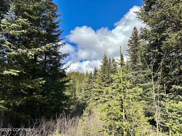 5665 Felix Cir, Homer, AK 99603
