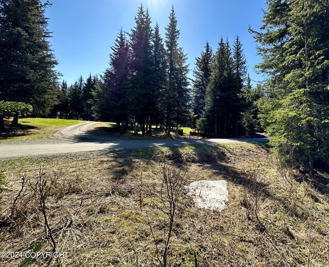 5665 Felix Cir, Homer, AK 99603