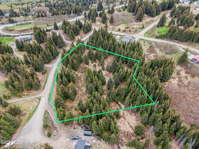 5665 Felix Cir, Homer, AK 99603
