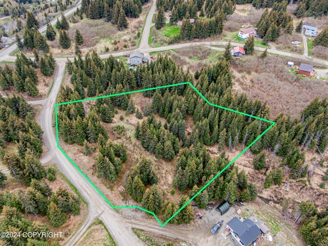 5665 Felix Cir, Homer, AK 99603