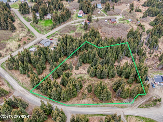 5665 Felix Cir, Homer AK, 99603 land for sale